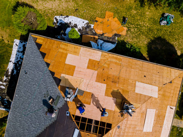 Best Flat Roof Repair Services  in Elkton, VA